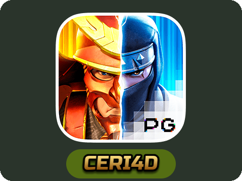 Ninja vs Samurai
